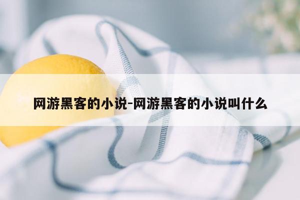 网游黑客的小说-网游黑客的小说叫什么