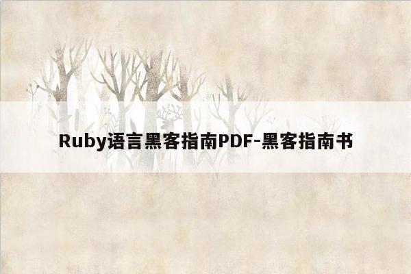 Ruby语言黑客指南PDF-黑客指南书