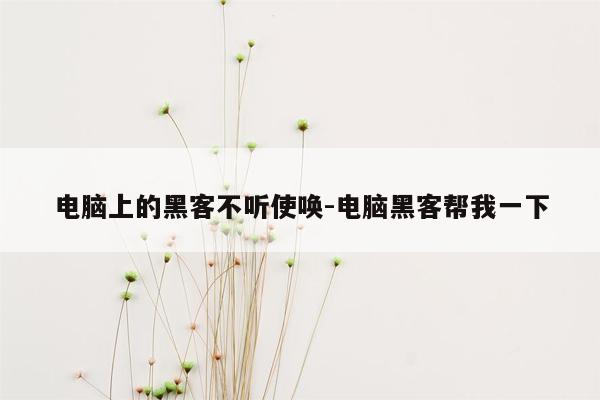 电脑上的黑客不听使唤-电脑黑客帮我一下