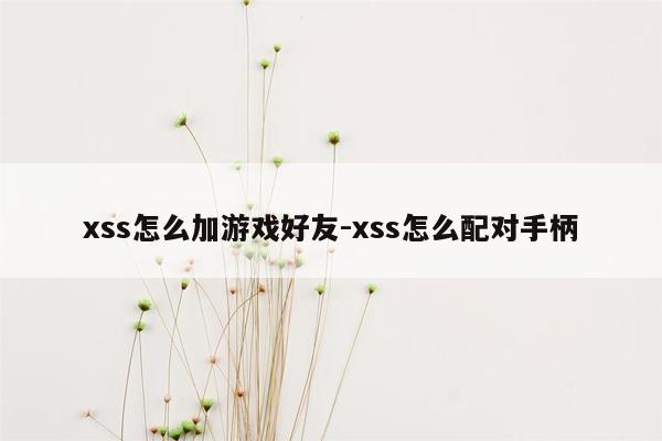 xss怎么加游戏好友-xss怎么配对手柄