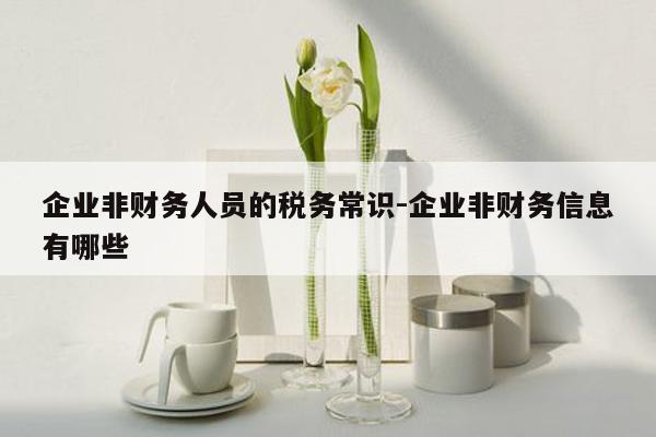 企业非财务人员的税务常识-企业非财务信息有哪些