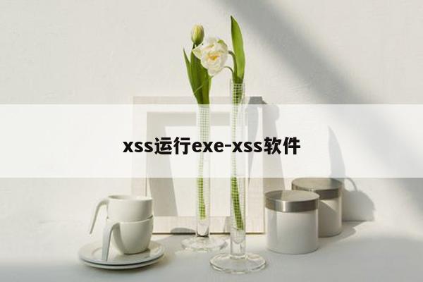 xss运行exe-xss软件