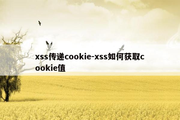 xss传递cookie-xss如何获取cookie值