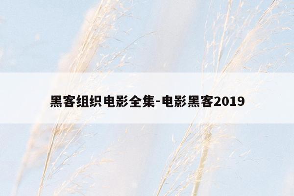 黑客组织电影全集-电影黑客2019