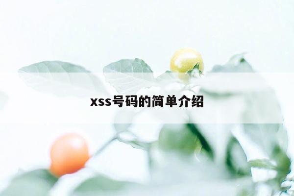 xss号码的简单介绍