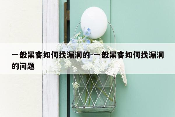 一般黑客如何找漏洞的-一般黑客如何找漏洞的问题