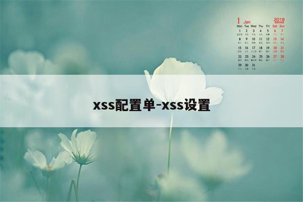 xss配置单-xss设置