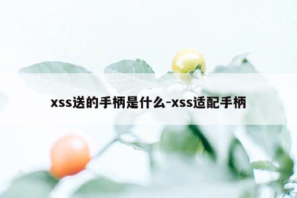 xss送的手柄是什么-xss适配手柄