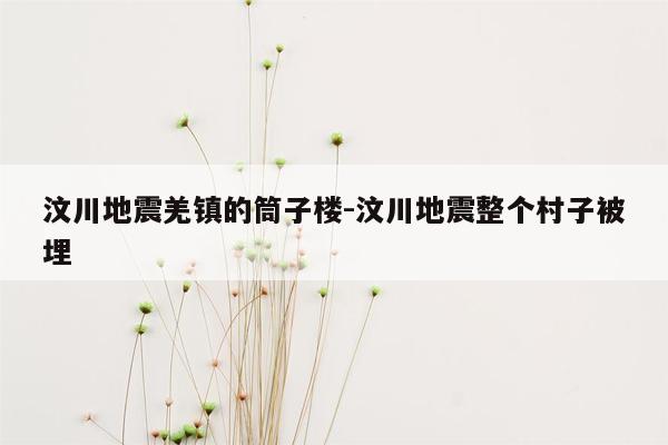 汶川地震羌镇的筒子楼-汶川地震整个村子被埋