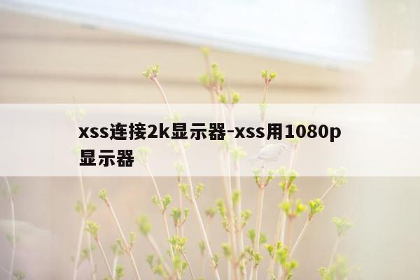xss连接2k显示器-xss用1080p显示器