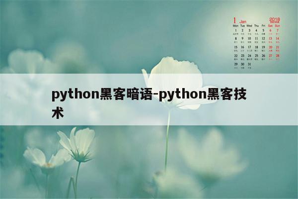 python黑客暗语-python黑客技术
