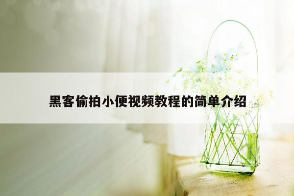 黑客偷拍小便视频教程的简单介绍