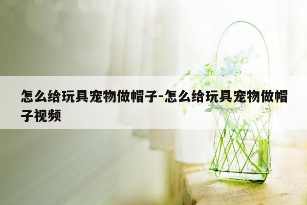 怎么给玩具宠物做帽子-怎么给玩具宠物做帽子视频