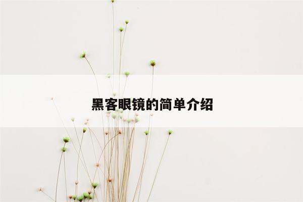 黑客眼镜的简单介绍