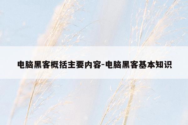 电脑黑客概括主要内容-电脑黑客基本知识
