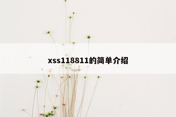 xss118811的简单介绍