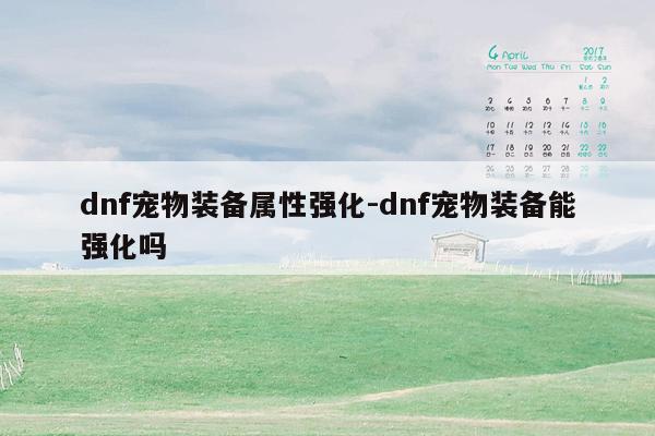 dnf宠物装备属性强化-dnf宠物装备能强化吗