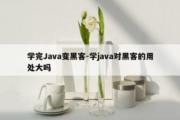 学完Java变黑客-学java对黑客的用处大吗