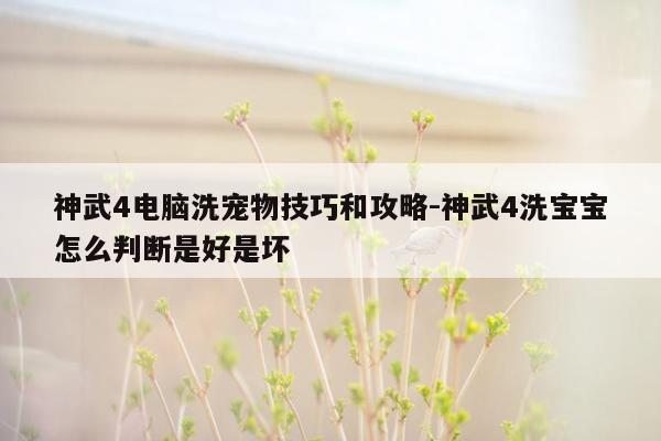 神武4电脑洗宠物技巧和攻略-神武4洗宝宝怎么判断是好是坏