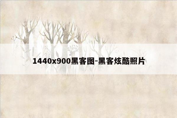 1440x900黑客图-黑客炫酷照片