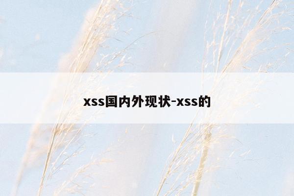 xss国内外现状-xss的