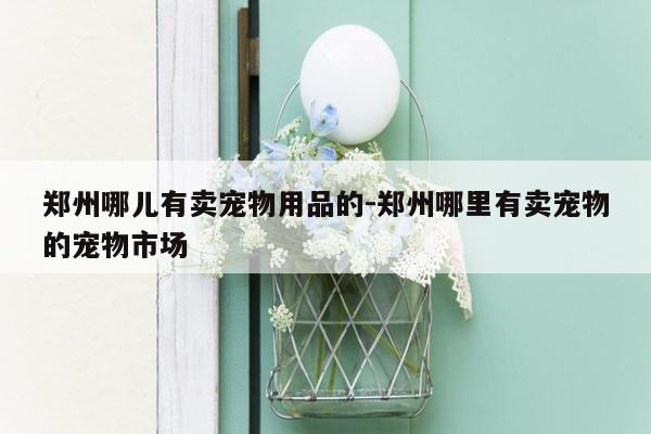 郑州哪儿有卖宠物用品的-郑州哪里有卖宠物的宠物市场